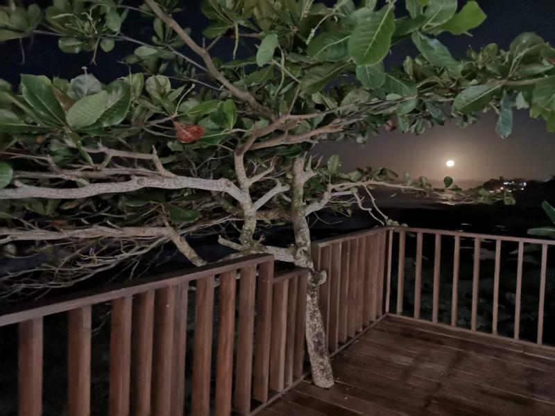 Hotel Playa Bonita Пуерто Лимон Екстериор снимка
